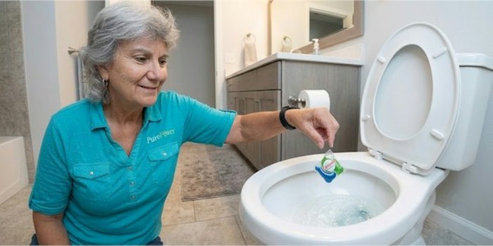 Anisa dropping a cleaning tablet into a toilet
